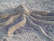 Sandkrake