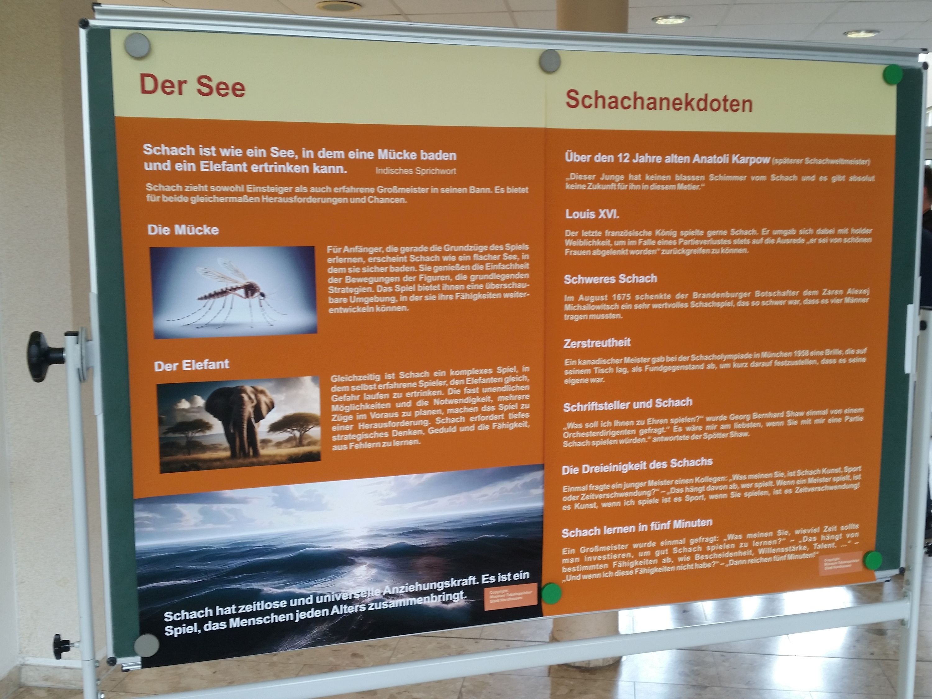 Nordhäuser Ausstellungs-Schnipsel Nordhäuser Ausstellungs-Schnipsel